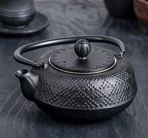 Чайник с ситом 500 мл "Гафу", цвет черный