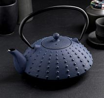 Чайник с ситом 1 л "Байсан", цвет синий