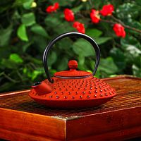 Чайник с ситом 500 мл "Марокко", цвет красный, с эмалированным покр