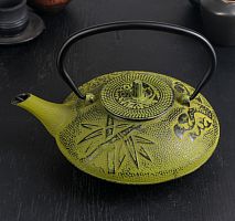 Чайник с ситом «Китайский сад», 1 л, зелёный, эмалированный внутри